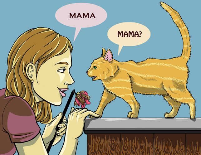 cat talking mama