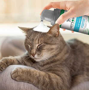 cat shampoo