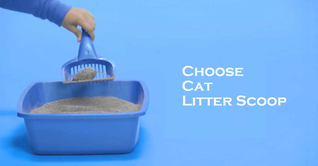 How to Choose a Litter Scoop for Your Cat? (Explained)