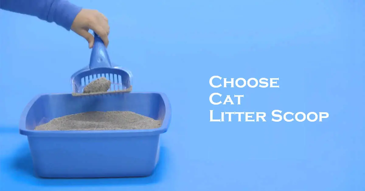 choose litter scoop