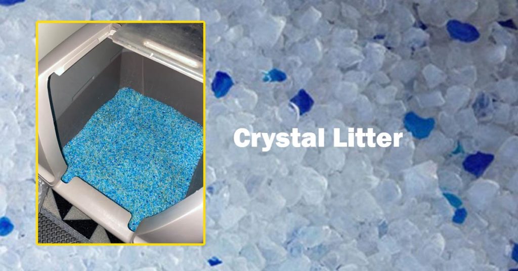 Is Crystal Litter Safe for Cats?