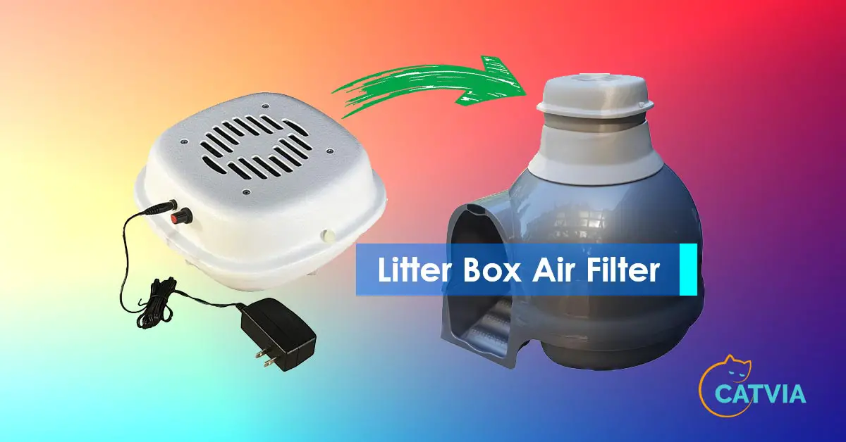 Purrified Air best Litter Box Air Filter