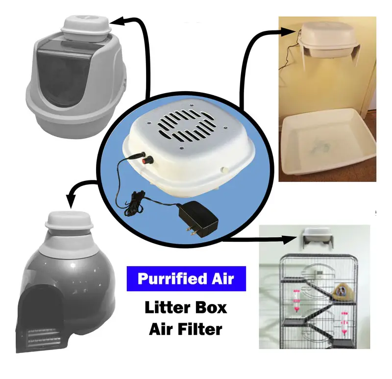 best place for litter box air purifier-
