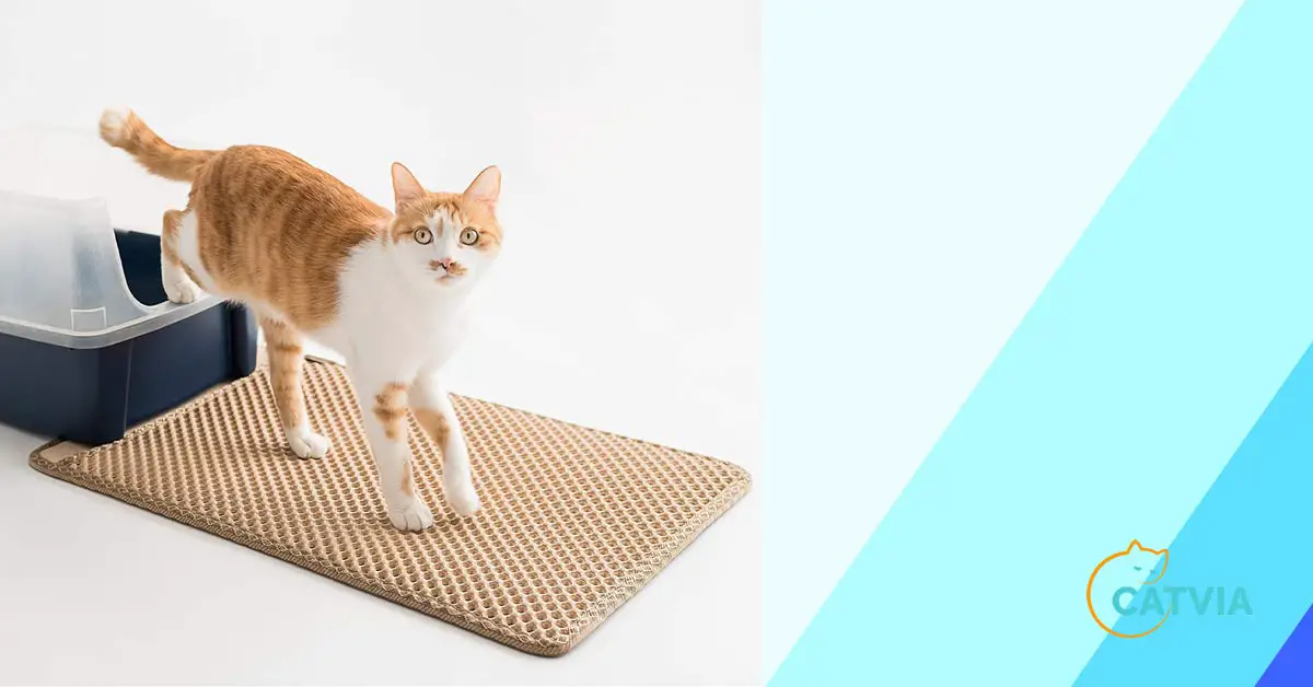 purpose of a cat litter mat