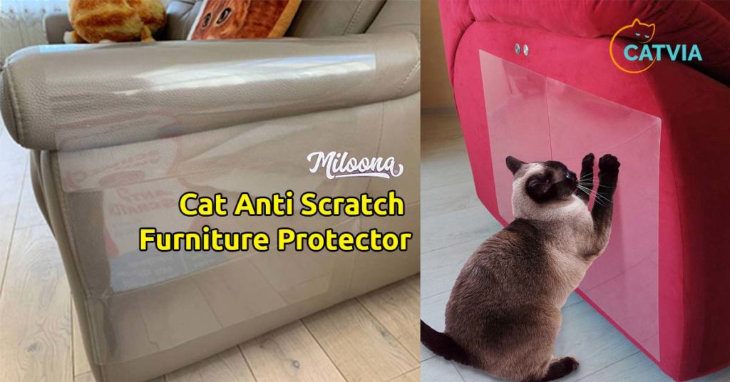 Miloona Best Cat Anti Scratch Furniture Protector (Reviews)