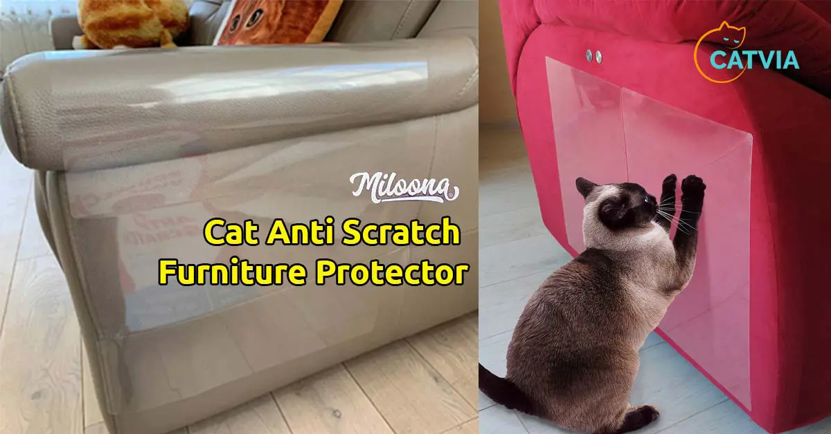 furniture protectors for cat miloona