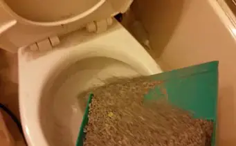 Cat litter flush in toilet