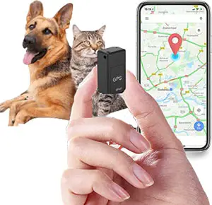 What is a GPS Tracker?