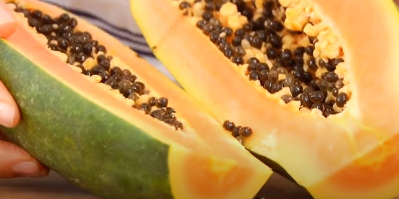 Can Cats Eat Papaya Benefits Risks 