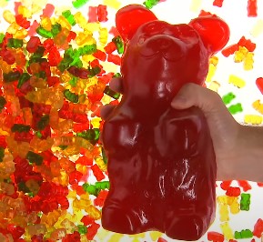 Can Cats Eat Gummy Bears