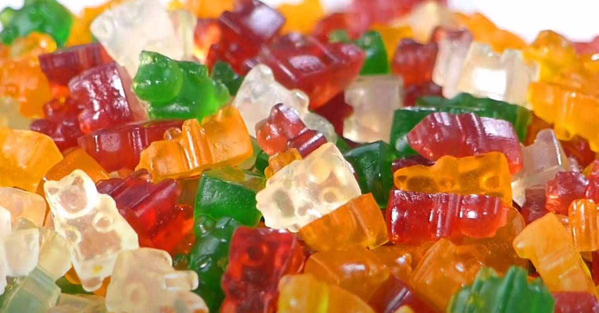 Can I Feed My Cat Haribo Is It Harmful To Them 