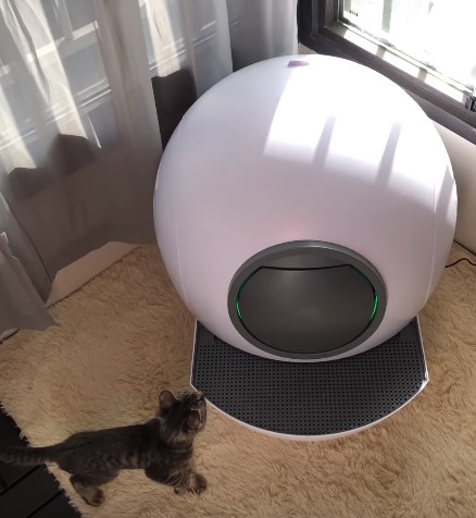 Self cleaning litter box worth