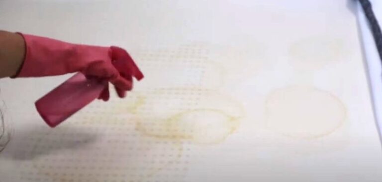 How to Remove Cat Urine From Your Bed or Mattress - How To Remove Cat Urine From Mattress Reddit