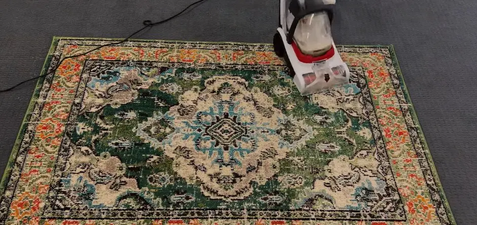 How to Get Cat Hair Out of Carpet