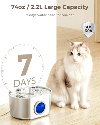 Best Cat Water Fountain For Indoor Cats