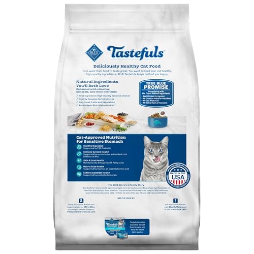 Best Dry Cat Food For Cats That Won’t Eat
