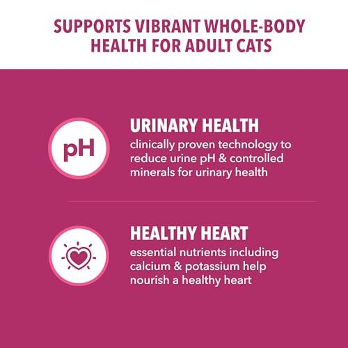 Best Cat Food For Urinary Health