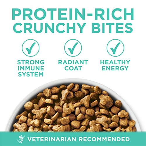 Cat Food That Doesn't Cause Vomiting