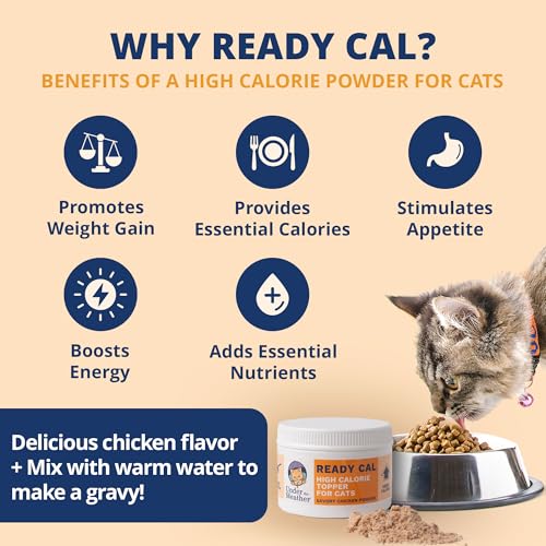 High Moisture Cat Food For Dehydration