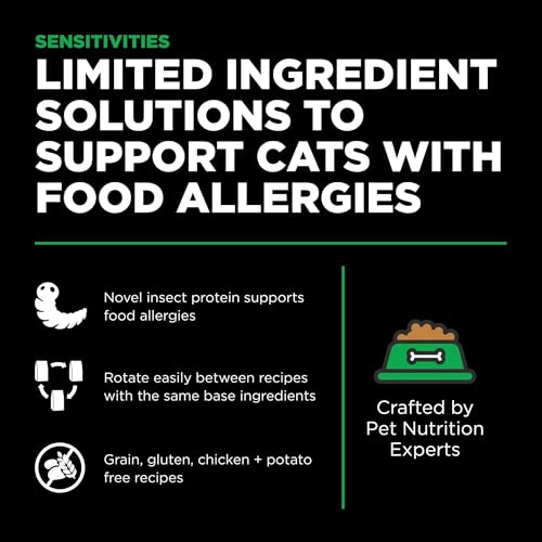 Insect-Based Cat Food