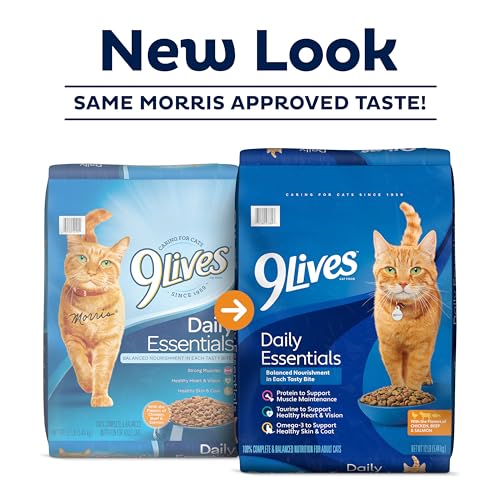 Affordable Dry Cat Food For Daily Feeding