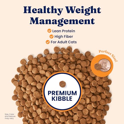 Low Cost Grain Free Cat Food For Adult Cats