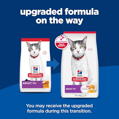 Best Low Calorie Cat Food For Senior Cats