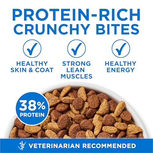 High Protein Cat Food For Daily Use
