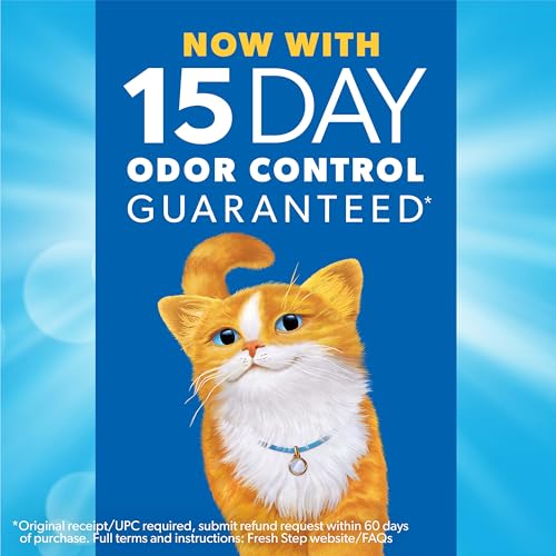 Best Cat Litter For Odor Control
