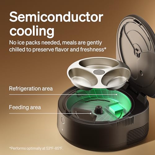 Automatic Cat Feeder For Wet Food