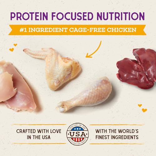 Best Cat Food For Picky Eaters With Allergies