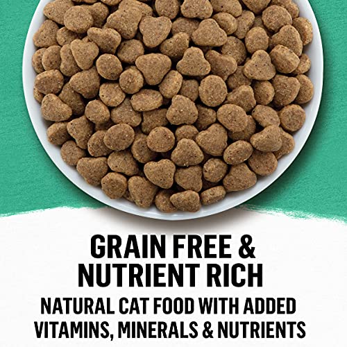 Sustainable Eco Friendly Cat Food