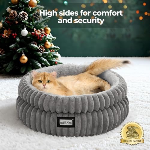 Best Cat Beds