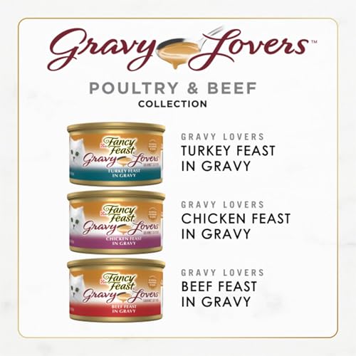 Best Wet Cat Food For Picky Eaters