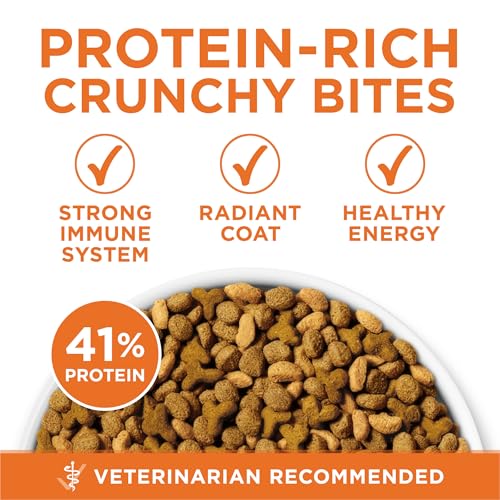High Protein Dry Cat Food For Adult Cats