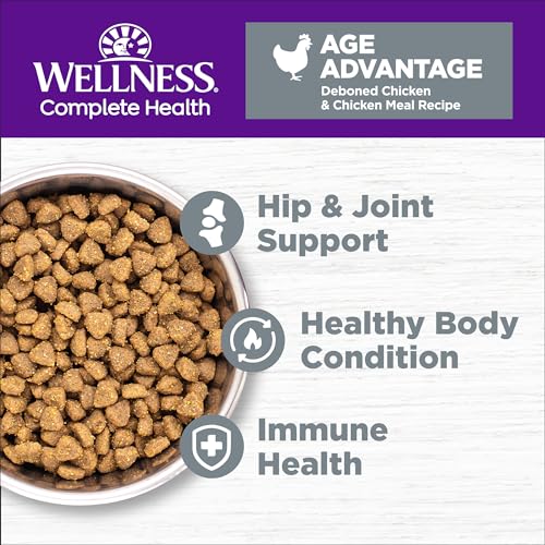 Best Grain Free Dry Cat Food For Senior Cats
