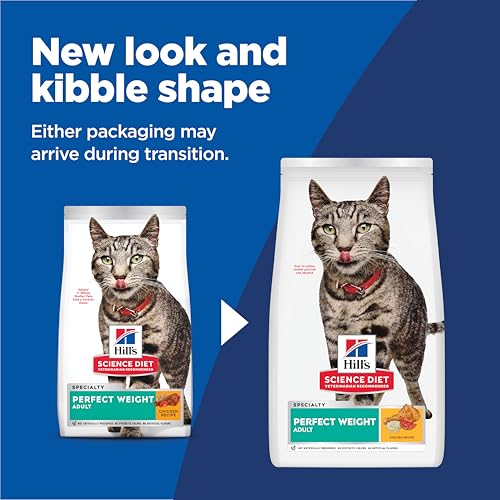 Best Cat Food For Adult Cats Maintenance Diet