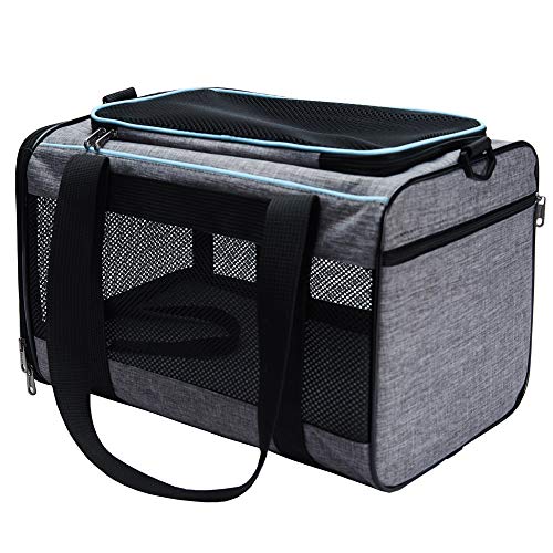 Best Cat Carrier For Anxious Cats