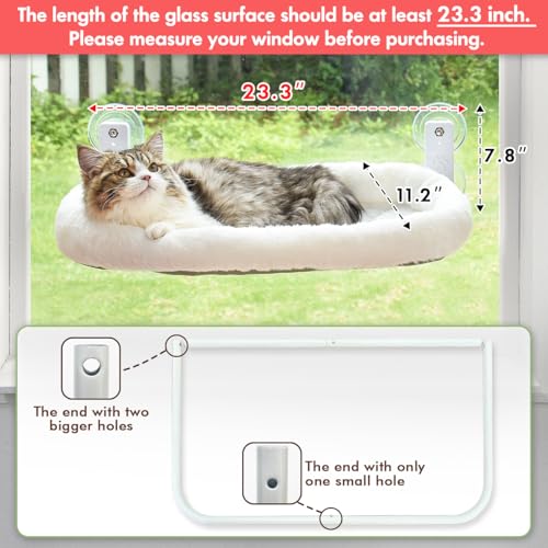 Best Cat Perch For Indoor Cats