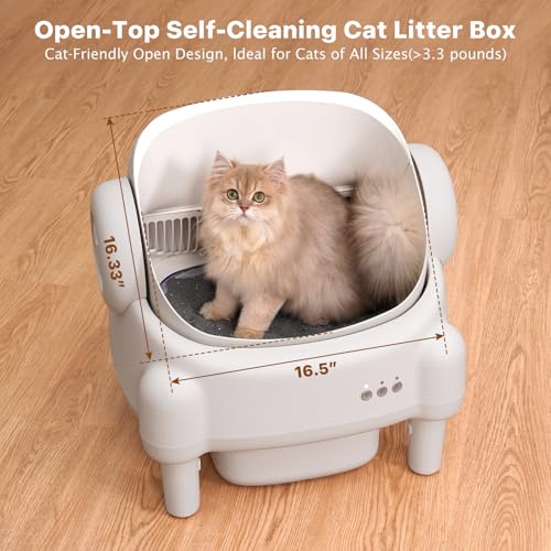 Best Automatic Litter Box For Multiple Cats
