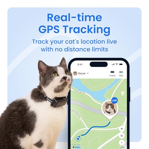 Best Cat Health Monitoring App For Iphone