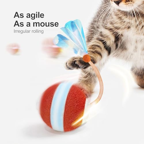 Best Interactive Cat Toys for Indoor Cats
