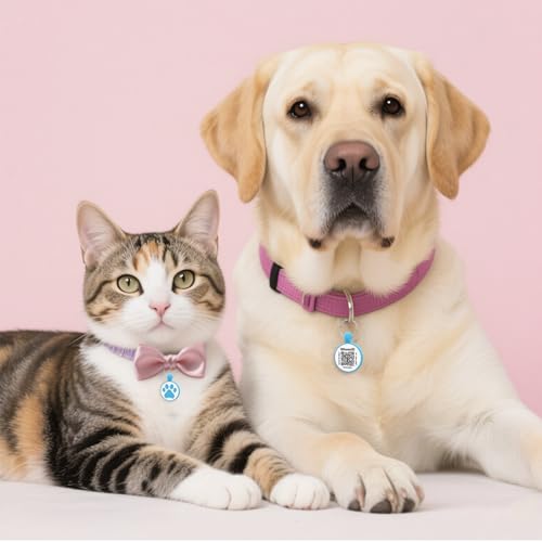 Best App To Identify Cat Breed From Photo