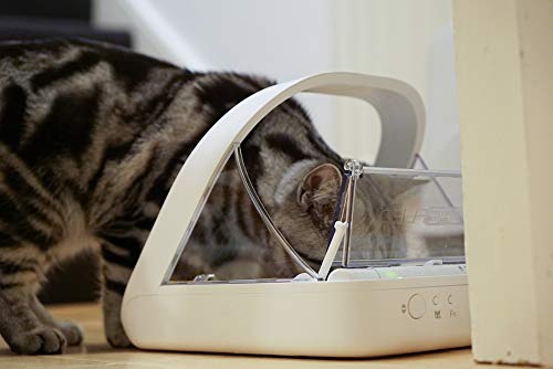 Best Microchip Cat Feeder To Separate Cats