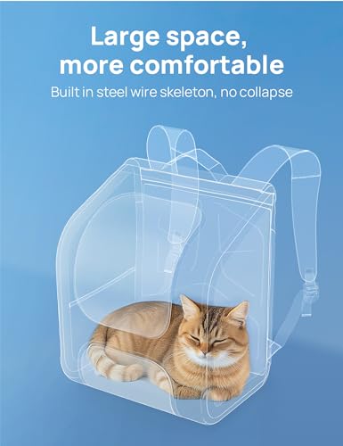 Best Cat Backpack Carrier For Hiking