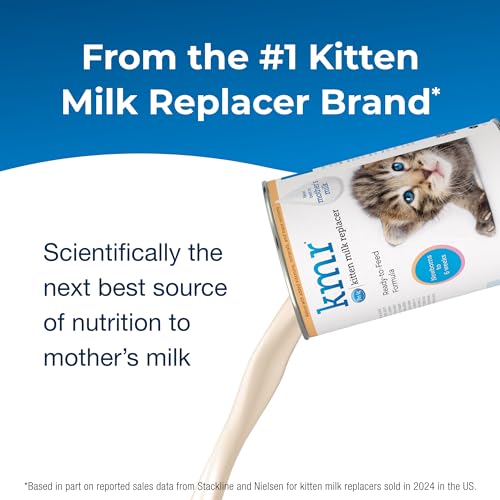 Best Milk Replacer For Orphaned Kittens