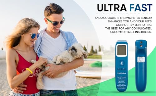 Best Digital Pet Thermometer For Cats At Home