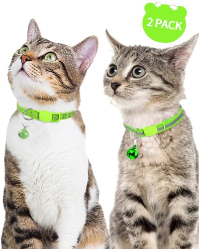 Best Reflective Cat Collar For Outdoor Cats