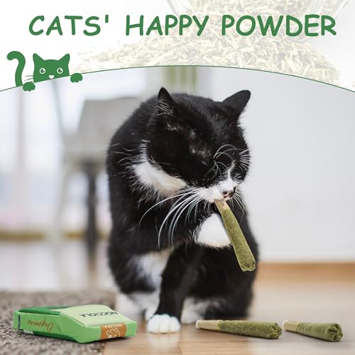 Best Catnip Toys That Actually Work