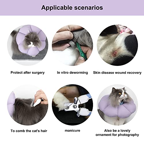 Best Cat Cone That Doesn't Stress Cats Out